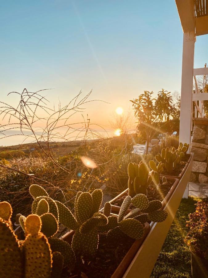 Residenza B&B Vistamare Petacciato Eksteriør bilde