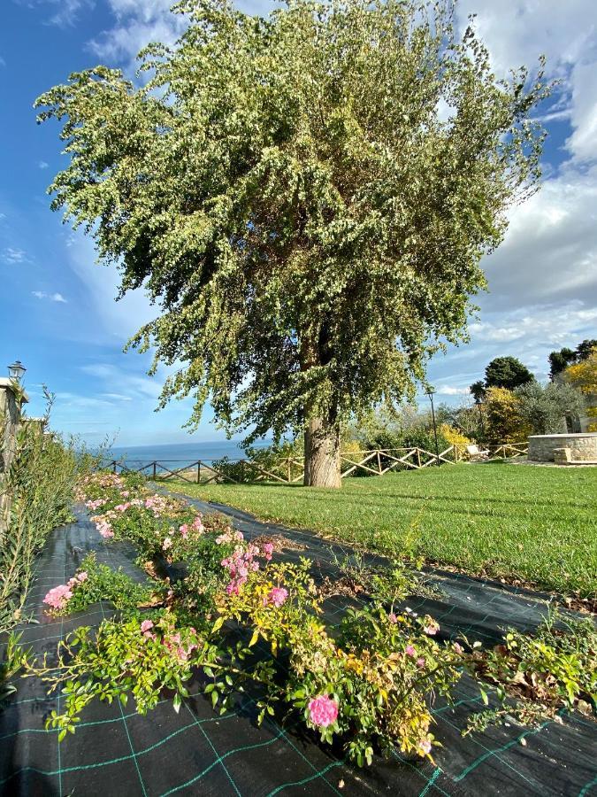 Residenza B&B Vistamare Petacciato Eksteriør bilde